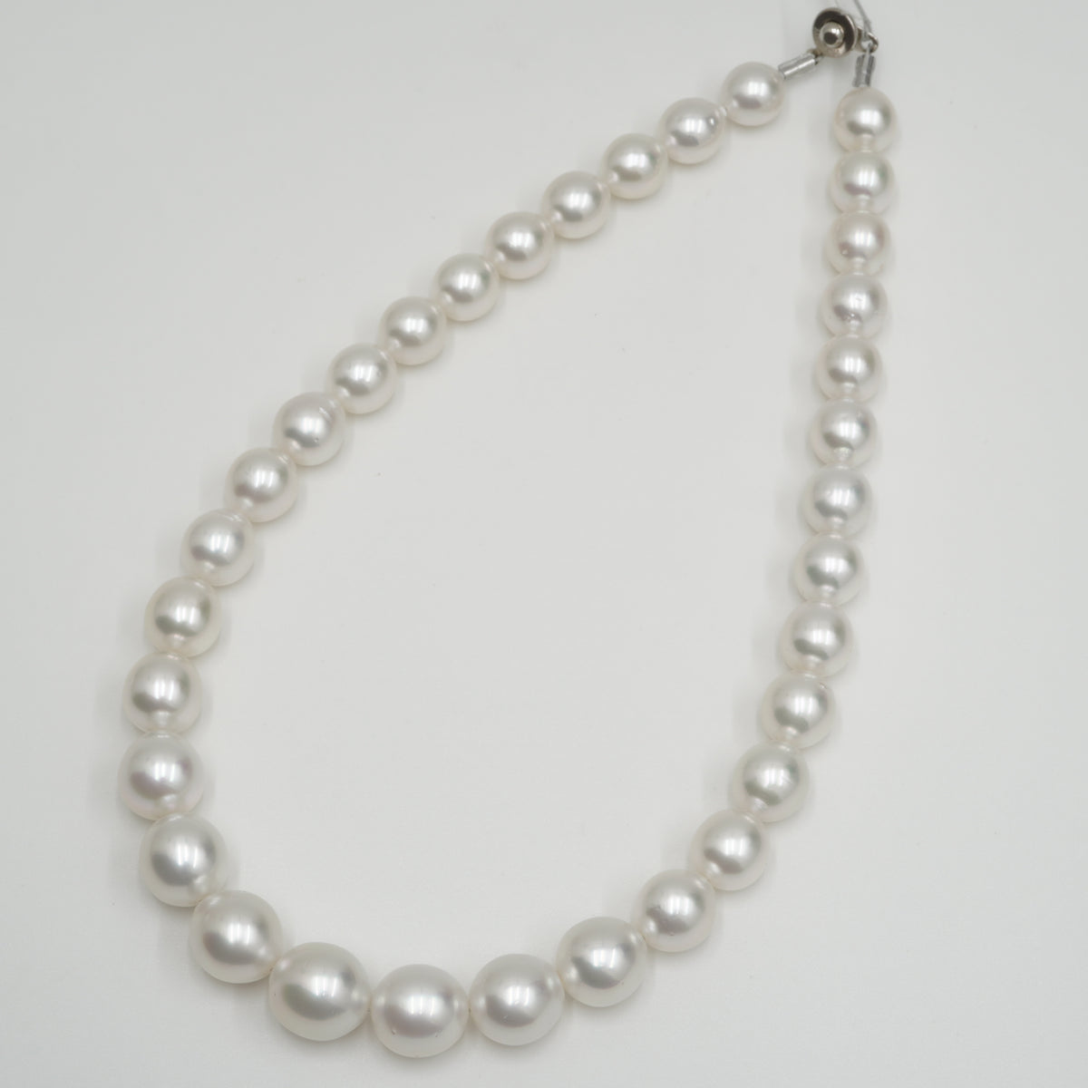 白蝶 ネックレス 14.8x11.0mm(Phoenix) – eikopearl