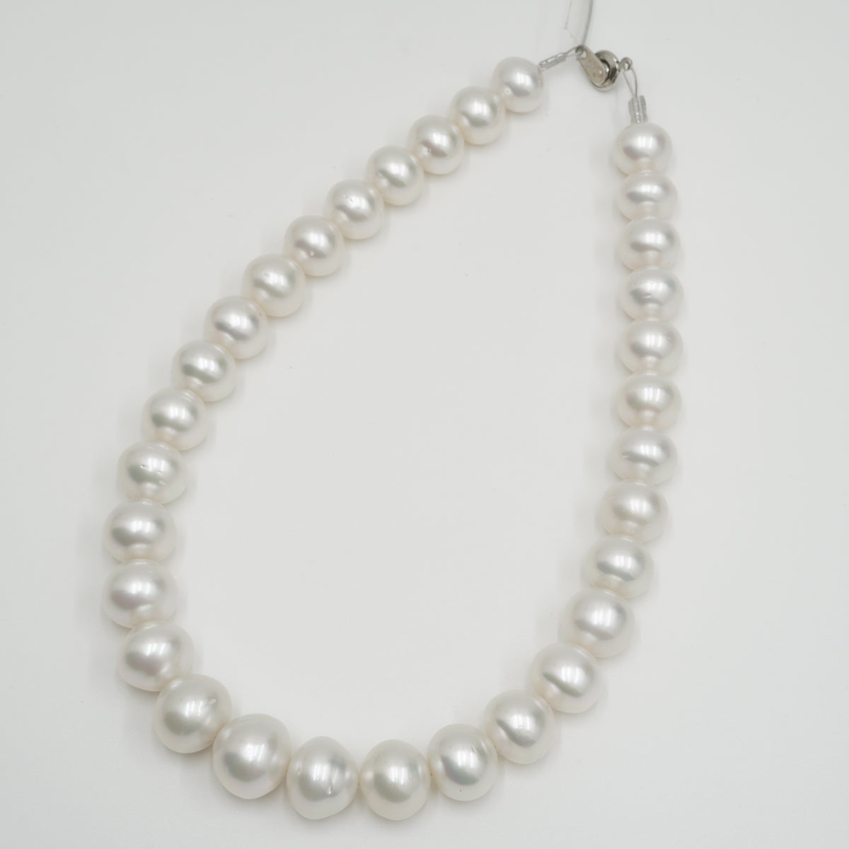 白蝶 ネックレス 16.8x13.0mm(Phoenix) – eikopearl