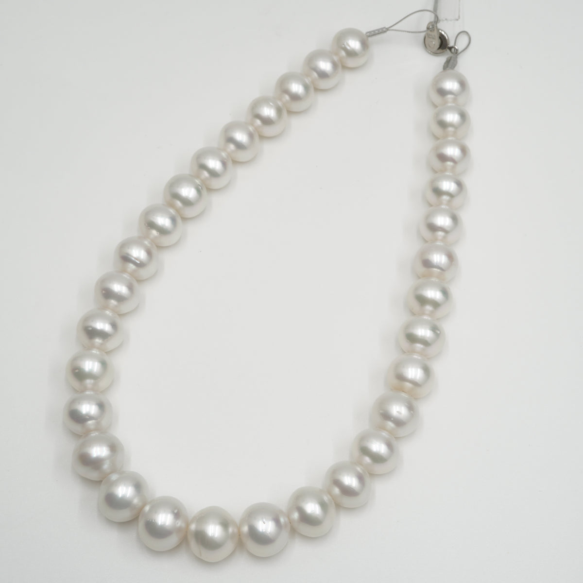 白蝶 ネックレス 15.9x13.0mm(Phoenix) – eikopearl