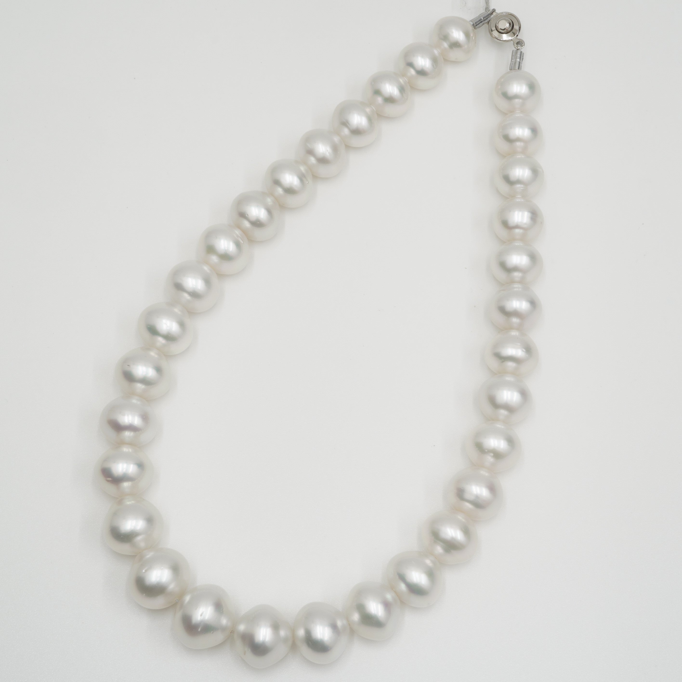 白蝶 ネックレス 16.6x13.0mm(Phoenix) – eikopearl