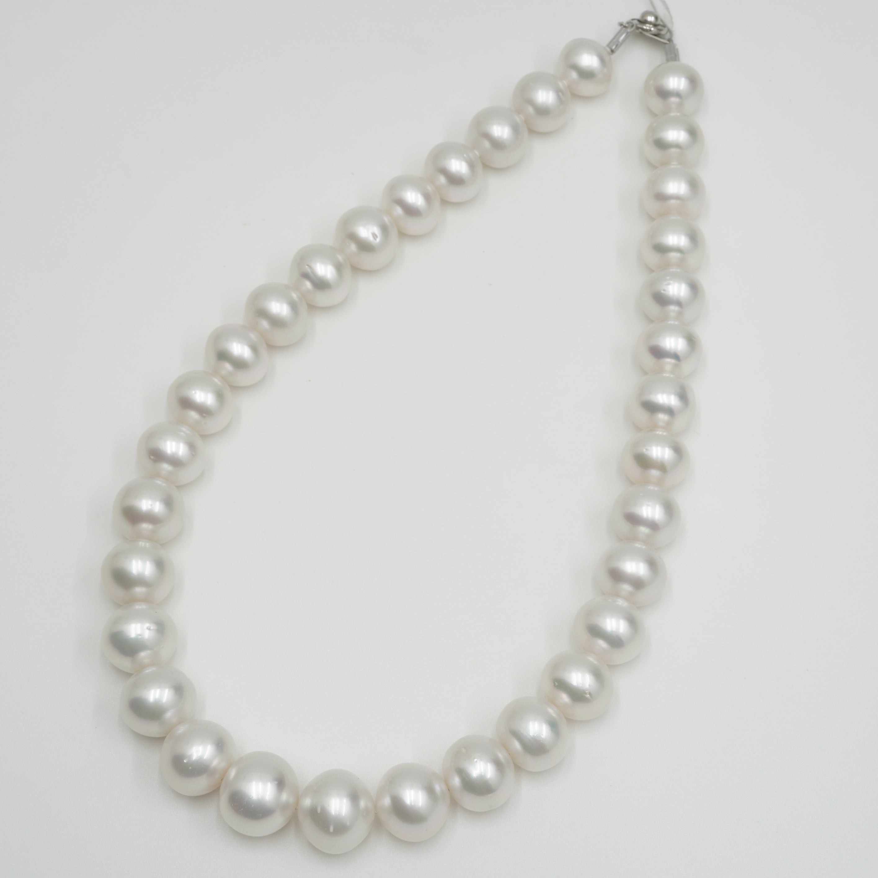 白蝶 ネックレス 16.1x13.0mm(Phoenix) – eikopearl