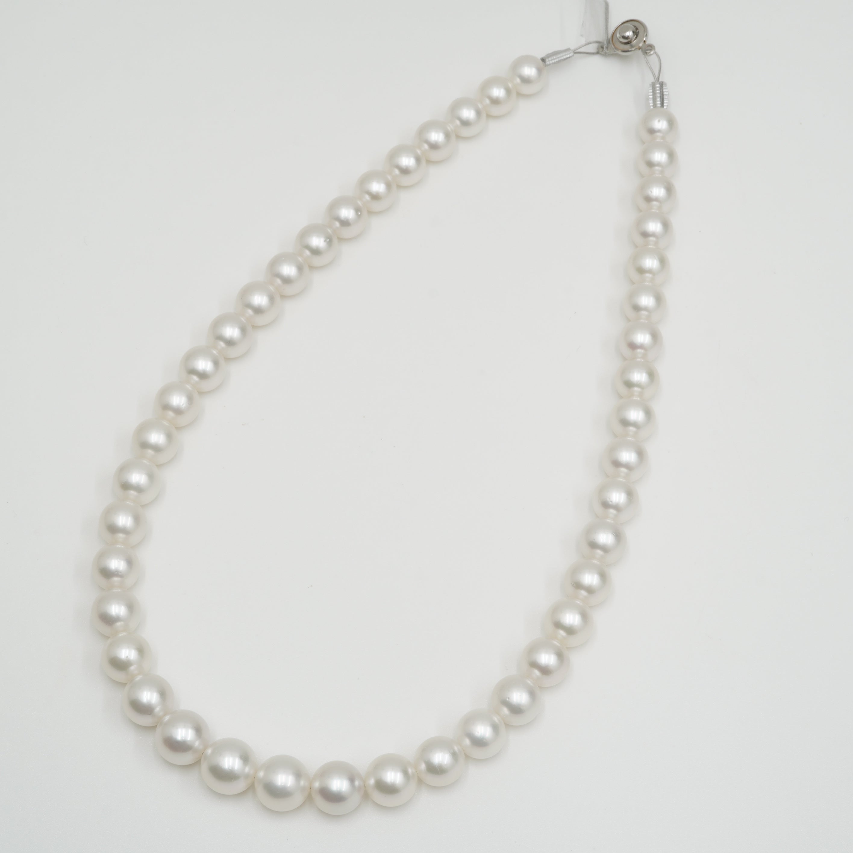 白蝶 ネックレス 10.9x8.7mm(Phoenix) – eikopearl
