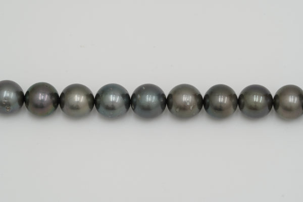 黒蝶 連 11.9x8.1mm