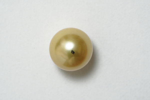 白蝶ゴールド シングルルース 15.0mm(茶金)