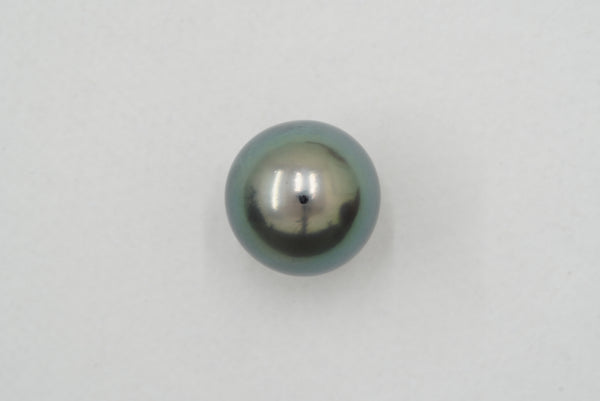 黒蝶 シングルルース 12.5mm