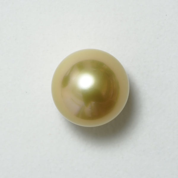 白蝶ゴールド シングルルース 15.1mm(茶金)