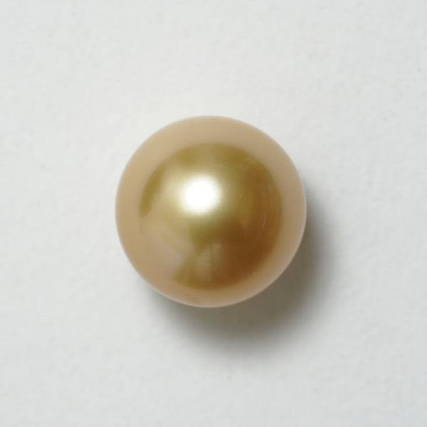 白蝶ゴールド シングルルース 15.4mm(茶金)