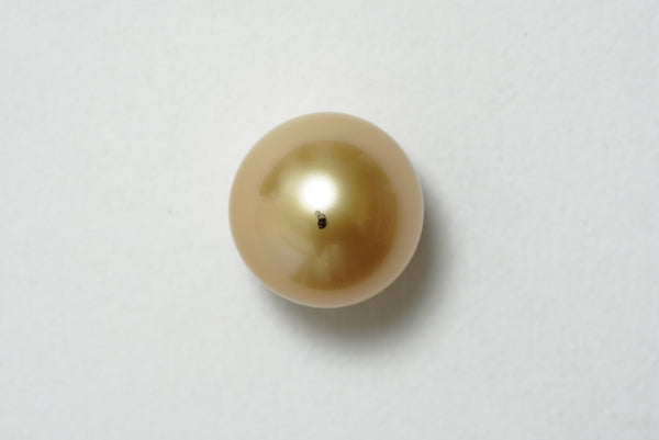 白蝶ゴールド シングルルース 15.4mm(茶金)