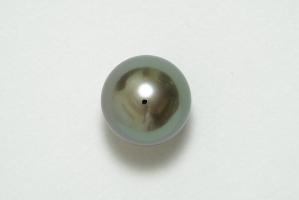 黒蝶 シングルルース 15.5mm(GRANPEARL)