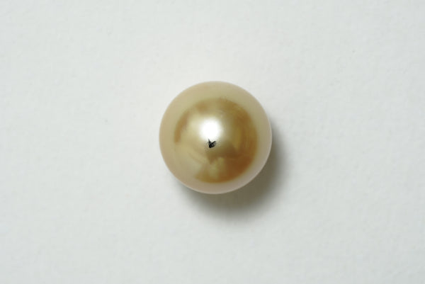 白蝶ゴールド シングルルース 13.8mm(茶金)