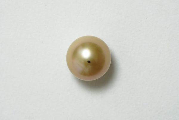 白蝶ゴールド シングルルース 13.2mm(茶金)