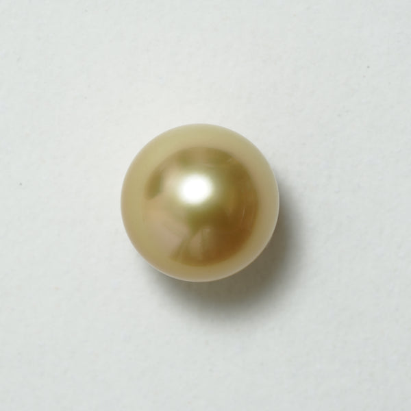 白蝶ゴールド シングルルース 13.5mm(茶金)