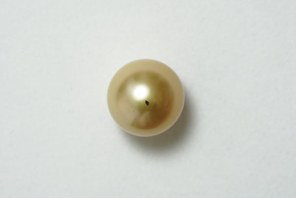 白蝶ゴールド シングルルース 13.5mm(茶金)