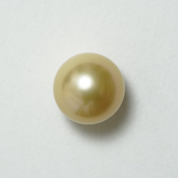 白蝶ゴールド シングルルース 14.0mm(茶金)