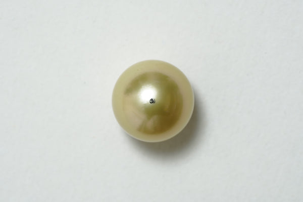 白蝶ゴールド シングルルース 14.1mm(茶金)