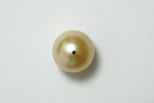 白蝶ゴールド シングルルース 14.2mm(茶金)
