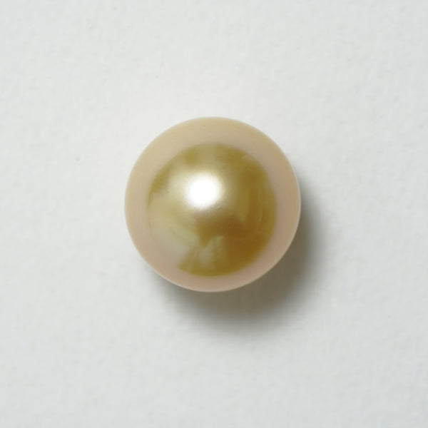 白蝶ゴールド シングルルース 14.1mm(茶金)