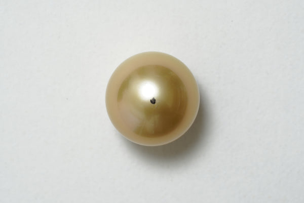 白蝶ゴールド シングルルース 16.2mm(茶金)