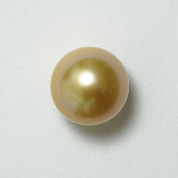 白蝶ゴールド シングルルース 15.5mm(茶金)