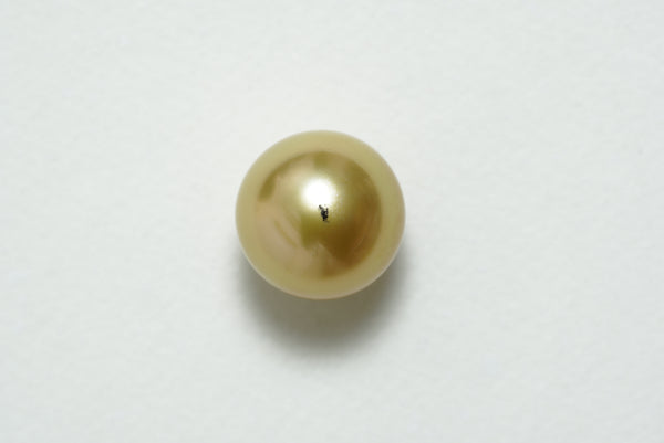 白蝶ゴールド シングルルース 13.1mm(GRANPEARL)