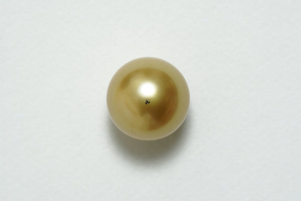 白蝶ゴールド シングルルース 14.2mm(GRANPEARL)