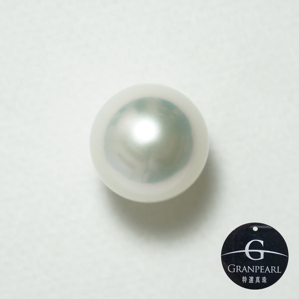 白蝶 シングルルース 13.6mm(GRANPEARL)