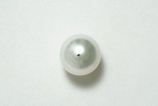 白蝶 シングルルース 13.6mm(GRANPEARL)