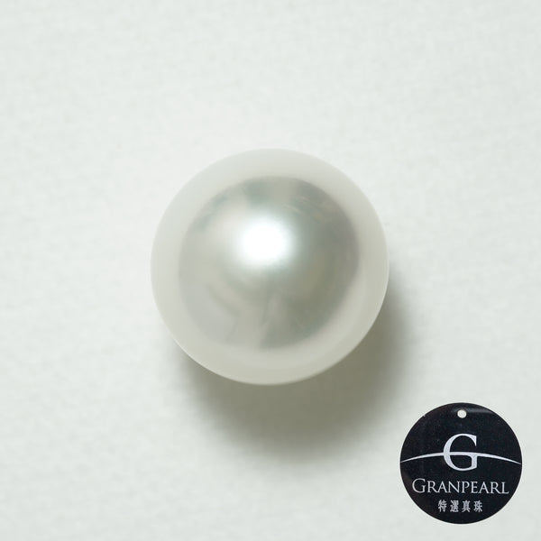 白蝶 シングルルース 15.0mm(GRANPEARL)