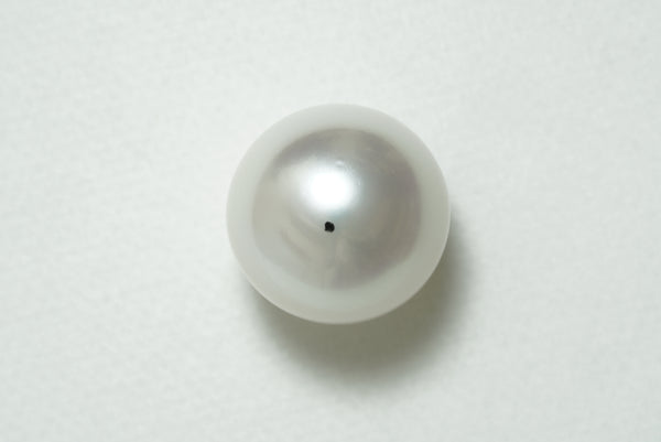 白蝶 シングルルース 17.2mm(Venus)