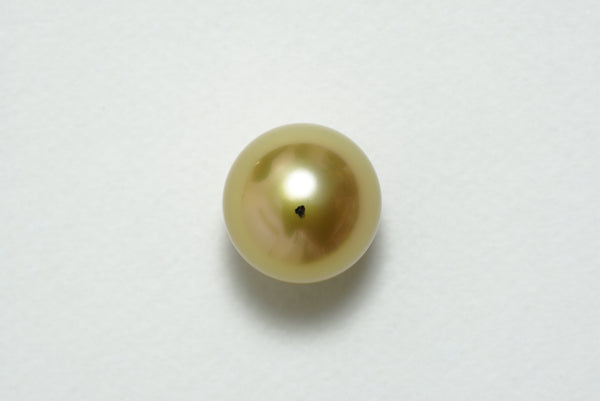 白蝶ゴールド シングルルース 13.6mm(GRANPEARL)