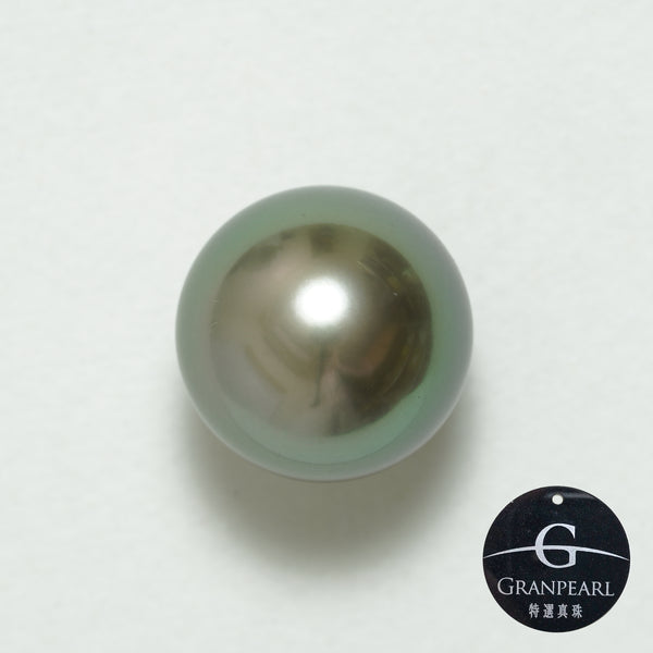 黒蝶 シングルルース 15.5mm(GRANPEARL)