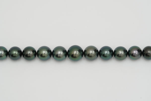 黒蝶 連 11.3x8.1mm(孔雀緑)